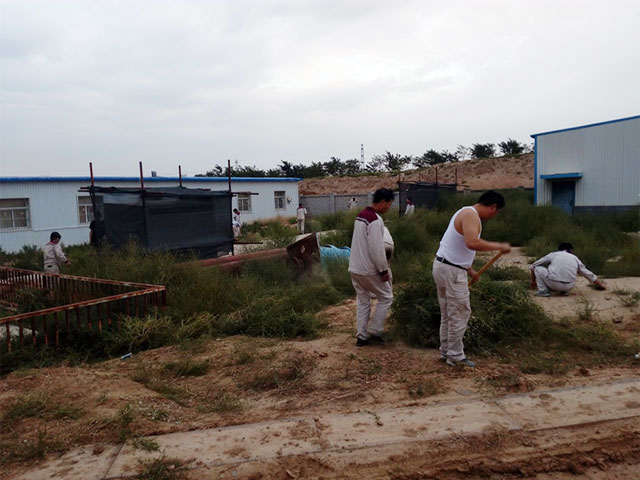 20250216160358.jpg 261127211399.jpg