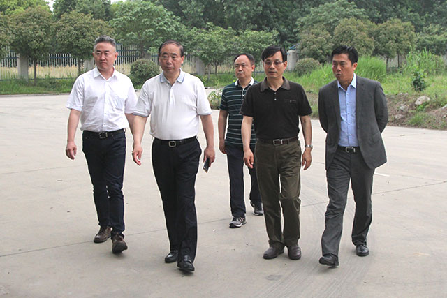 20250216594373.jpg 1.jpg