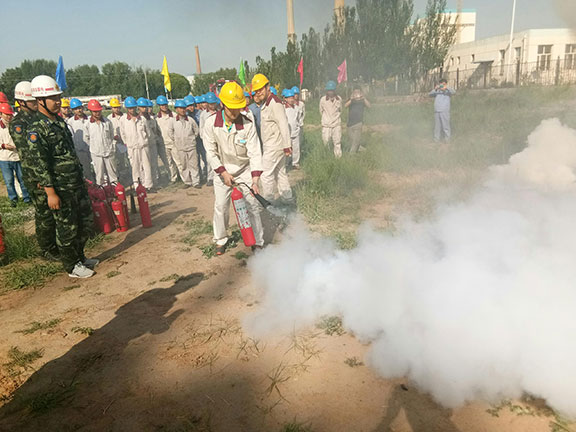 20250216599746.jpg 3.jpg