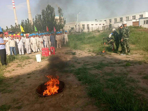 20250216874797.jpg 2.jpg