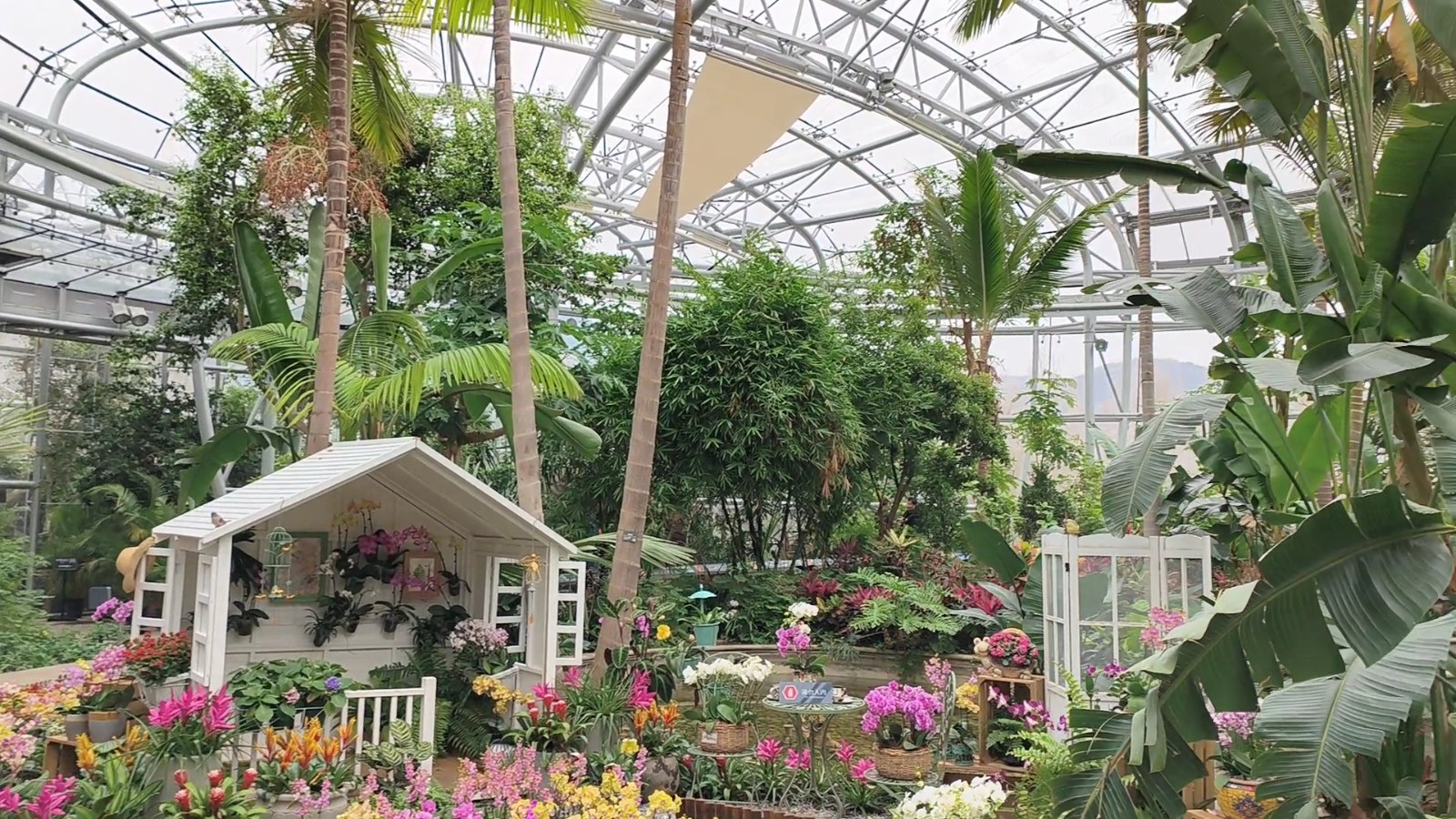 20250308433259.jpg 20250308433259.jpg