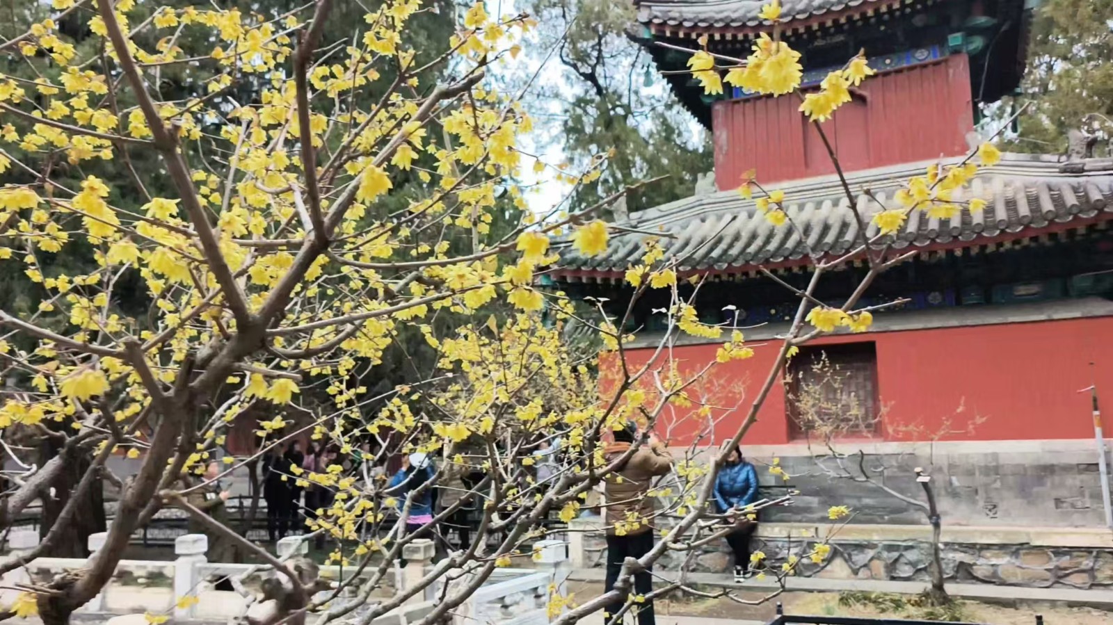 20250308875488.jpg 20250308875488.jpg